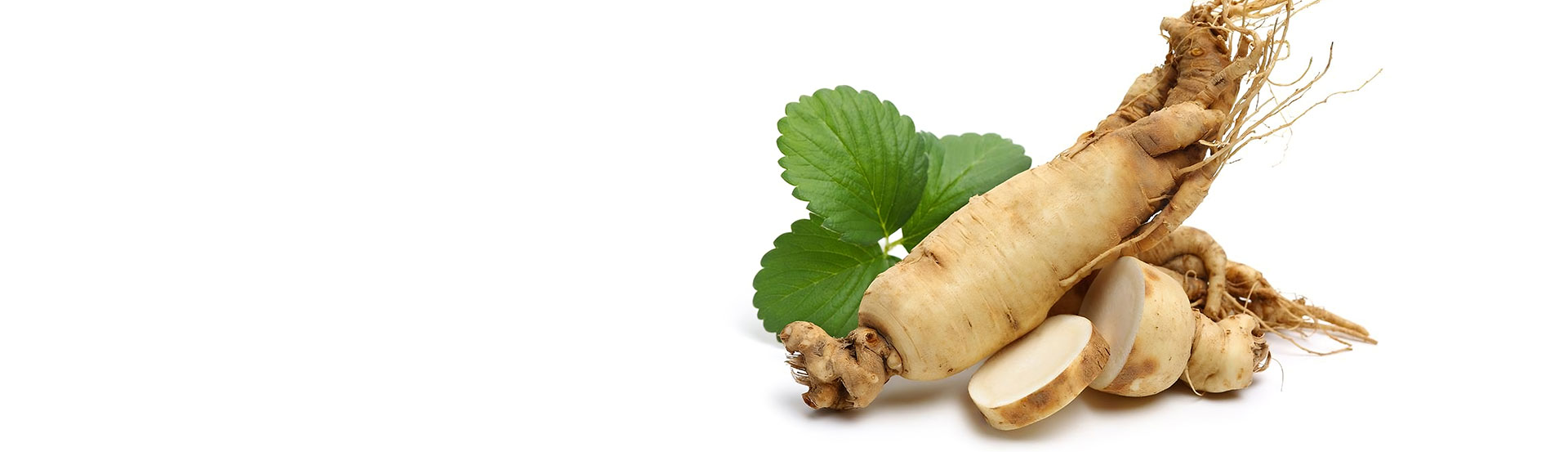 Ginseng