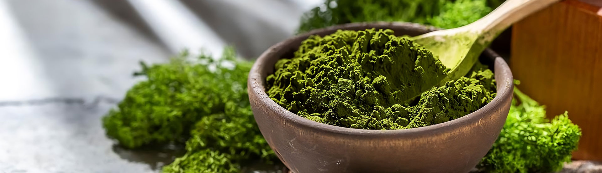 Chlorella