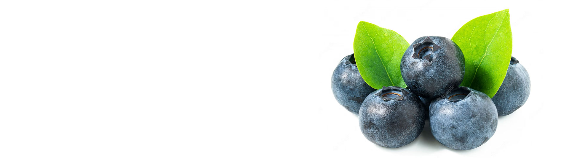 Bilberry