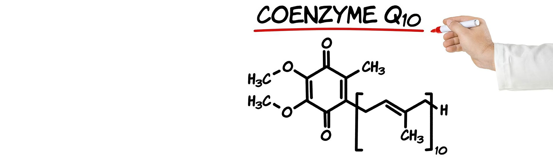 Coenzyme Q10