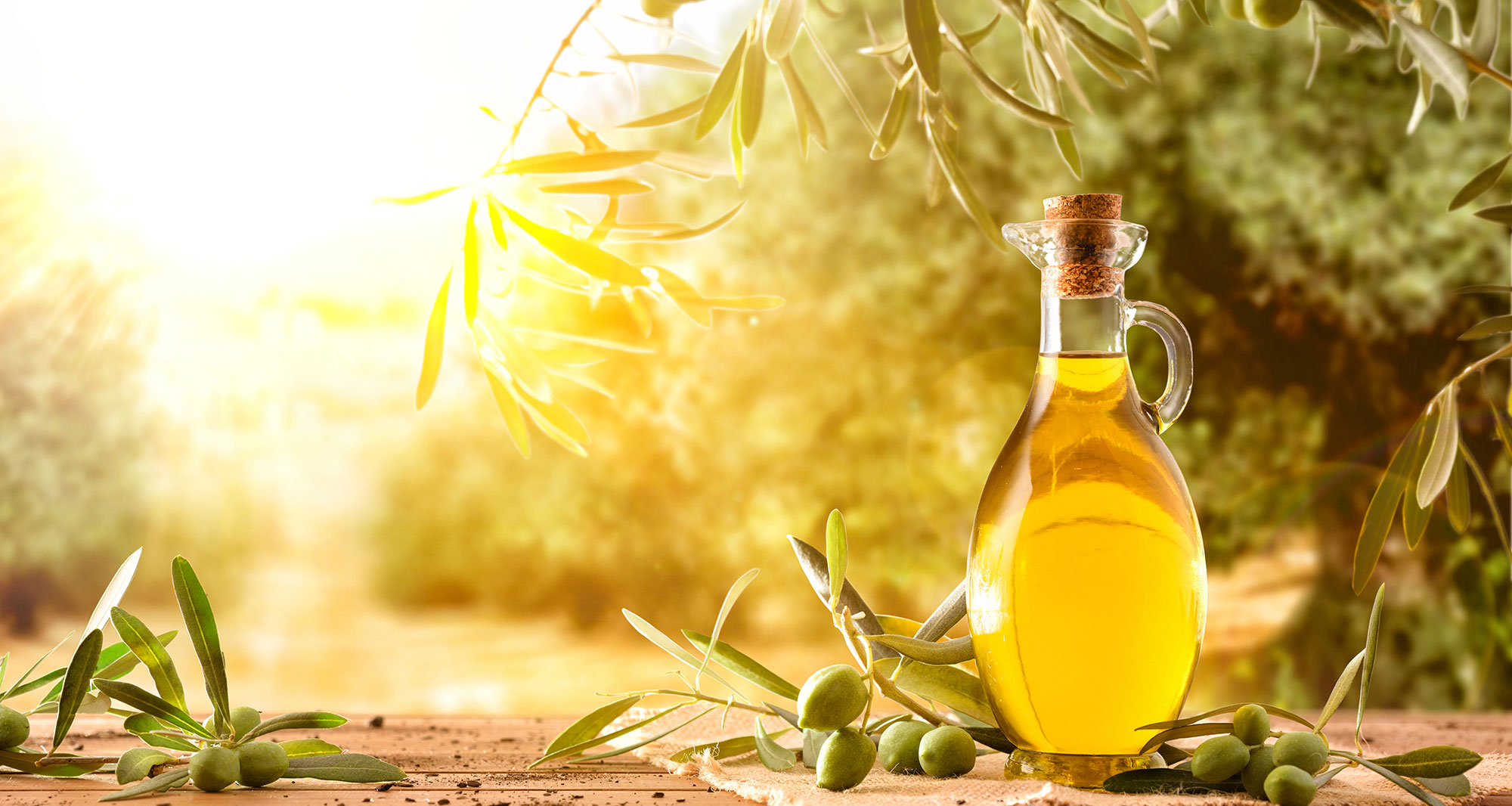 Olive Fruit Extract