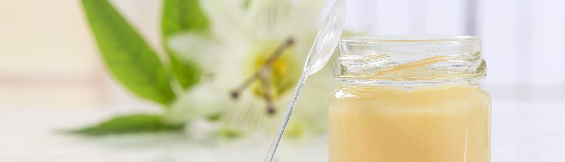 Lyophilized Royal Jelly