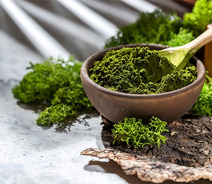 Chlorella